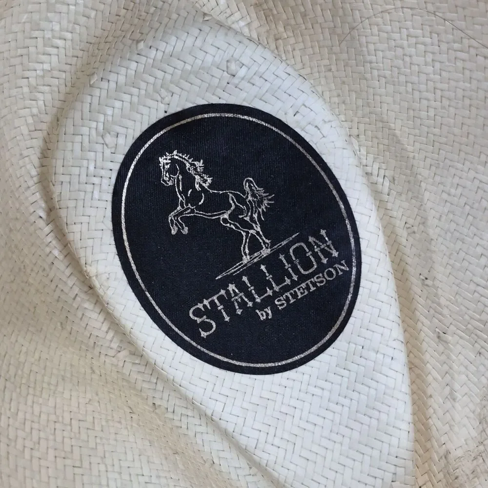 STETSON Grant 10X Cowboy Western Hat Embroidered Adult Medium Village Vented